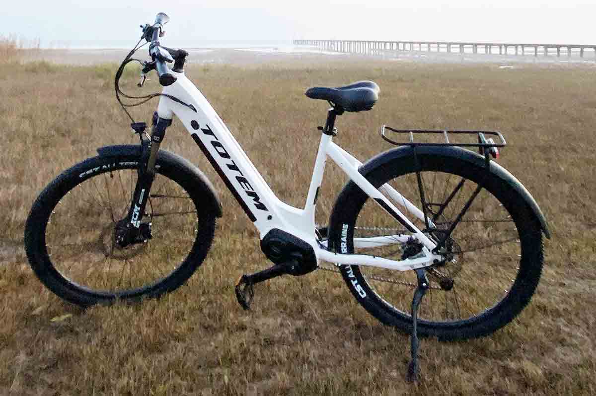 E-Bike kaufen: Totem Delta